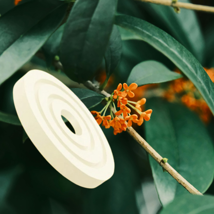 VoltScent™ Premium Car Air Freshener
